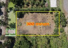 ขายที่ดิน บ้านปทุม สามโคก ปทุมธานี-202504251649141745574554111.jpg