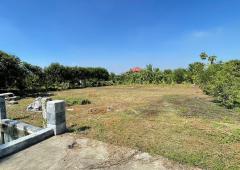 ขายที่ดิน บ้านปทุม สามโคก ปทุมธานี-202504251649181745574558100.jpg