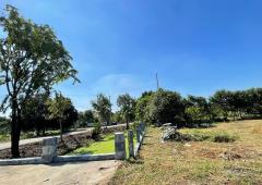 ขายที่ดิน บ้านปทุม สามโคก ปทุมธานี-202504251649211745574561492.jpg