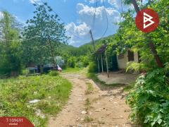 ขายที่ดินพร้อมสิ่งปลูกสร้าง เนื้อที่ 41 ตร.วา ปากช่อง นครราชสีมา-202504251702131745575333900.jpg