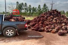  ที่ดินพร้อมบ้านเดี่ยว 1 ชั้น บ้านหนองตาด เนื้อที่ 14-3-79 ไร่ ถนนสุวรรณศร 33 ต.นาดี อ.นาดี จ.ปราจีนบุรี-202504260924371745634277063.jpg