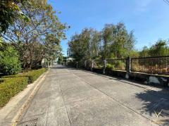 ขายถูก-ที่ดิน-175-ตรว-หมู่บ้านประชาชื่