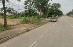 ขายที่ดิน 7 ไร่ ติดถนน 117 ใกล้มหาวิทยาลัยนเรศวร ต.ท่าโพธิ์ อ.เมือง จ.พิษณุโลก