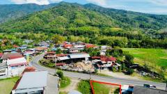 ขายที่ดิน ปัว น่าน 3 งาน 29.1 ตร.ว. ราคา 1.5 ล้าน-202504261513591745655239313.jpg