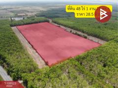 ขายที่ดินเปล่า เนื้อที่ 48 ไร่ 1 งาน 28 ตร.วา ศรีมหาโพธิ ปราจีนบุรี-202504261730201745663420730.jpg