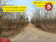 ขายที่ดินเปล่า เนื้อที่ 48 ไร่ 1 งาน 28 ตร.วา ศรีมหาโพธิ ปราจีนบุรี-202504261730261745663426073.jpg