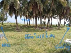 ลดๆๆ ที่ติดทะเล 1 ไร่ 3 ล้าน จากราคา 4.9 ล้าน -202504272025591745760359028.jpg