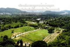 ขายที่ดิน 1 ไร่ ในโครงการ กระท่อมปัญปัน มีแบ่งแปลงขายติดกันอีก 2 แปลง