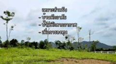 ขายที่ดิน 1 ไร่ ในโครงการ กระท่อมปัญปัน มีแบ่งแปลงขายติดกันอีก 2 แปลง-202504281009541745809794736.jpg