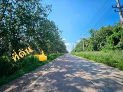 ที่ดินสวยถูกสามารถสร้างโรงงานโกดังได้ ที่ดินผังสีเหลือง ต.หนองอิ​รุณ​บ้านบึง​ชลบุรี​
