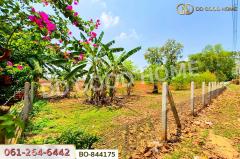BO-844175 ที่ดินหนองบุญมาก 66 ไร่ 259 ตร.ว. นครราชสีมา ใกล้โรงพยาบาลหนองบุญมาก-202504281557451745830665833.jpg