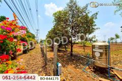 BO-844175 ที่ดินหนองบุญมาก 66 ไร่ 259 ตร.ว. นครราชสีมา ใกล้โรงพยาบาลหนองบุญมาก-202504281557461745830666797.jpg