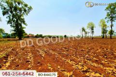 BO-844175 ที่ดินหนองบุญมาก 66 ไร่ 259 ตร.ว. นครราชสีมา ใกล้โรงพยาบาลหนองบุญมาก-202504281557491745830669429.jpg