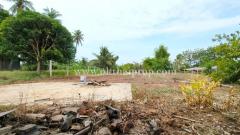 ที่ดินพร้อมบ้าน ต.ชอนม่วง อ.บ้านหมี่ จ.ลพบุรี-202504281703391745834619550.jpg