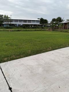 ขายที่ดินศรีสะเกษ-202504281901441745841704526.jpg
