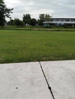 ขายที่ดินศรีสะเกษ-202504281901451745841705202.jpg