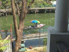ขาย/ให้เช่าทาวน์โฮม 3 ชั้น สุขุมวิท77 ทำเลดี ถูกจริง-202504281944231745844263397.jpg