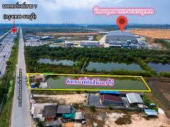 ขายที่สีม่วง 3 ไร่ ผังอีอีซี ติดถนนเลียบมอเตอร์เวย์ ขาเข้ากรุงเทพ และ อยู่ติดนิคมบลูเทค ต.เขาดิน อ.บางปะกง จ.ฉะเชิงเทรา-202504290940201745894420437.jpg