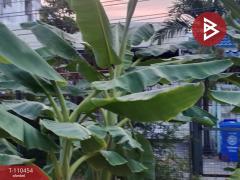 ขายที่ดิน ซ.เทพารักษ์54 เนื้อที่ 1 งาน สำโรงเหนือ สมุทรปราการ-202504291004211745895861496.jpg
