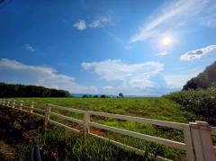 ที่ดิน อ.วังน้ำเขียว 7 ไร่ ต.วังหมี จ.นครราชสีมา อากาศดี วิวเขาใหญ่