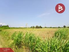 ขายที่ดิน เนื้อที่ 2 ไร่ 2 งาน 99.3 ตร.วา บ้านมะเกลือ นครสวรรค์-202504291019011745896741213.jpg