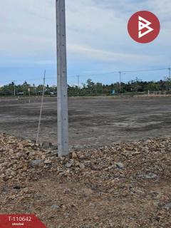 ขายที่ดิน เนื้อที่ 2 ไร่ 4.8 ตร.วา บ้านแหลม เพชรบุรี-202504291139471745901587798.jpg