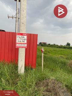 ขายที่ดิน เนื้อที่ 31 ไร่ 2 งาน 30.7 ตร.วา บางน้ำเปรี้ยว ฉะเชิงเทรา-202504291149151745902155078.jpg