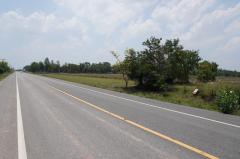 ขายที่ดินแปลงสวย ทำเลทอง - ติดถนนใหญ่ อ.ยางตลาด จ.กาฬสินธุ์-202504291435421745912142783.jpg