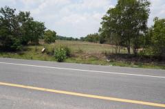 ขายที่ดินแปลงสวย ทำเลทอง - ติดถนนใหญ่ อ.ยางตลาด จ.กาฬสินธุ์-202504291435431745912143373.jpg