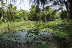 ขายที่ดินพร้อมกิจการรีสอร์ท ทำเลทอง บนเส้นทางเดินทางหลัก ต.หัวงัว อ.ยางตลาด จ.กาฬสินธุ์-202504291500211745913621193.jpg