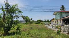 ขายที่ดินเปล่า 1 งาน 81.8 ตร.วา ต.วังลึก อ.สามชุก จ.สุพรรณบุรี-202504291552401745916760193.jpg