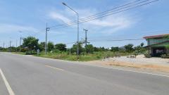 ขายที่ดินเปล่า 1 งาน 81.8 ตร.วา ต.วังลึก อ.สามชุก จ.สุพรรณบุรี-202504291552411745916761429.jpg