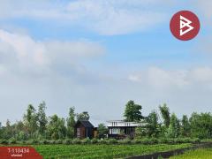 ขายที่ดินติดถนน เนื้อที่ 1 ไร่ บางเลน นครปฐม-202504291729561745922596708.jpg