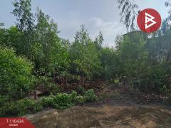 ขายที่ดินติดถนน เนื้อที่ 1 ไร่ บางเลน นครปฐม-202504291730041745922604945.jpg