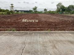     จังหวัดปทุมธานีอำเภอสามโคกตำบลเชียงรากใหญ่	  ขายที่ดิน 4 ไร่ อ.สามโคกปทุมธานี ใกล้มหาลัยธรรมชาติรังสิต ใกล้ทางขึ่้นทางด่วนอุดรรัถยา-202504291820291745925629119.jpg