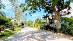 ที่ดินถมแล้ว พุหวายฮิลล์รีสอร์ท อ.ชะอำ จ.เพชรบุรี-202504301158321745989112295.jpg