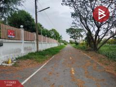 ขายบ้านเดี่ยวพร้อมที่ดิน เนื้อที่ 1 ไร่ 2 งาน ลำลูกกา ปทุมธานี-202504301221511745990511290.jpg