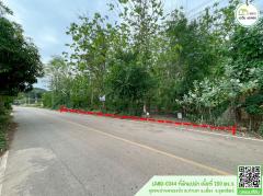 ที่ดินเปล่า ติดถนนลาดยาง(ชุมชนบ้านหนองบัว)ใกล้โรงพยาบาลอุตรดิตถ์,โลตัส,แม็คโคร,โรงเรียนไตรศาสตร์-202504301343101745995390487.jpg