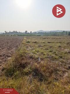 ขายที่ดิน เนื้อที่ 3 ไร่ 3 งาน 73 ตร.วา เทิง เชียงราย-202504301453361745999616897.jpg