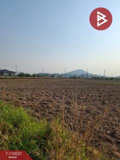 ขายที่ดิน เนื้อที่ 3 ไร่ 3 งาน 73 ตร.วา เทิง เชียงราย-202504301453371745999617531.jpg