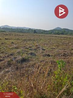 ขายที่ดิน เนื้อที่ 3 ไร่ 3 งาน 73 ตร.วา เทิง เชียงราย-202504301453381745999618174.jpg