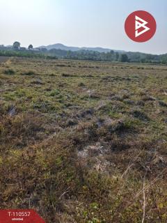 ขายที่ดิน เนื้อที่ 3 ไร่ 3 งาน 73 ตร.วา เทิง เชียงราย-202504301453381745999618808.jpg