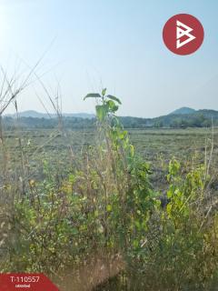 ขายที่ดิน เนื้อที่ 3 ไร่ 3 งาน 73 ตร.วา เทิง เชียงราย-202504301453401745999620073.jpg