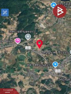 ขายที่ดิน เนื้อที่ 3 ไร่ 3 งาน 73 ตร.วา เทิง เชียงราย-202504301453411745999621342.jpg