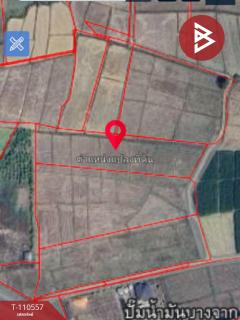 ขายที่ดิน เนื้อที่ 3 ไร่ 3 งาน 73 ตร.วา เทิง เชียงราย-202504301453411745999621976.jpg