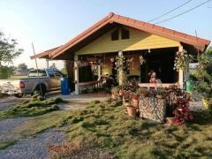 ขายบ้านพร้อมที่ดินวิวทุ่งนา อำเภอศรีประจันต์ จังหวัดสุพรรณบุรี เนื้อที่ 4 ไร่