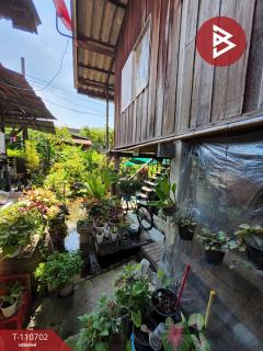 ขายบ้านเดี่ยว ซ.ประชาอุทิศ93 เนื้อที่ 44 ตร.วา ทุ่งครุ กรุงเทพมหานคร-202504301741481746009708281.jpg