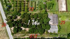 ที่ดินสวนลำไย 1-0-0 ไร่ วิวภูเขา ติดถนนคอนกรีต 2 เลน-202504301905201746014720783.jpg