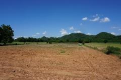 ขายที่ดินสระบุรี4ไร่ รวม3ล้านบาท พิกัด อำเภอเฉลิมพระเกียรติ สระบุรี ห่างจากโรบินสันสระบุรี 18 กม. -202505010329441746044984565.jpg