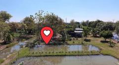 ขายบ้านเดี่ยวพร้อมสวน ขายบ้านสระบุรี ขายบ้านเสาไห้ 6ไร่239ตรว. ห่างโรงเรียนอนุบาลสระบุรี5กม. -202505010337341746045454564.jpg